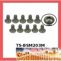 TS-BSM203M M2 x 3 Titanium Button Head Hex Socket - Machine (10 Pcs)