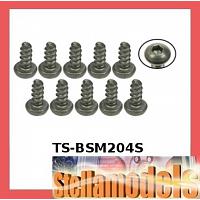 TS-BSM204S M2 x 4 Titanium Button Head Hex Socket - Self Tapping (10 Pcs)