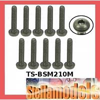 TS-BSM210M M2 x 10 Titanium Button Head Hex Socket - Machine (10 Pcs)
