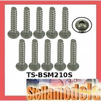 TS-BSM210S M2 x 10 Titanium Button Head Hex Socket - Self Tapping (10 Pcs)