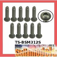 TS-BSM312S M3 x 12 Titanium Button Head Hex Socket - Self Tapping (10 Pcs)