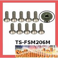 TS-FSM206M M2 x 6 Titanium Flat Head Hex Socket - Machine (10 Pcs)